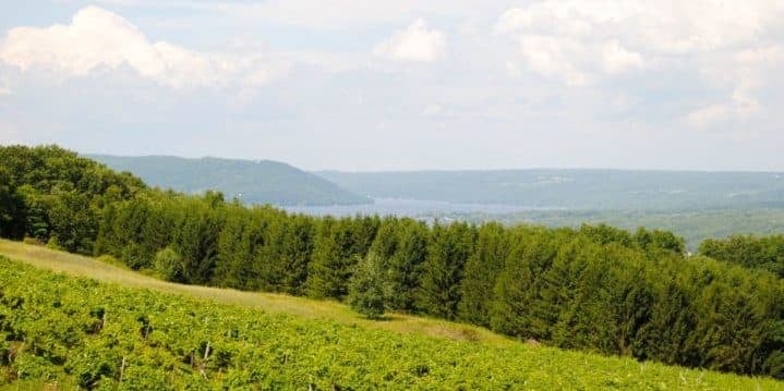 Keuka Lake's beautiful wine country, chase sapphire preferred ink business preferred